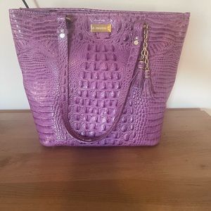 RARE Brahmin Asher Tote